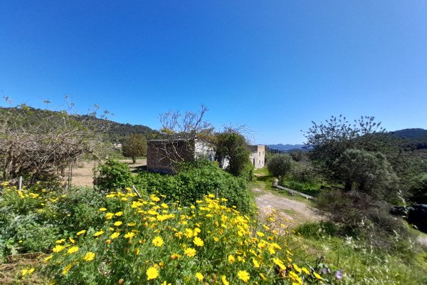 Finca with large plot of land in beautiful nature