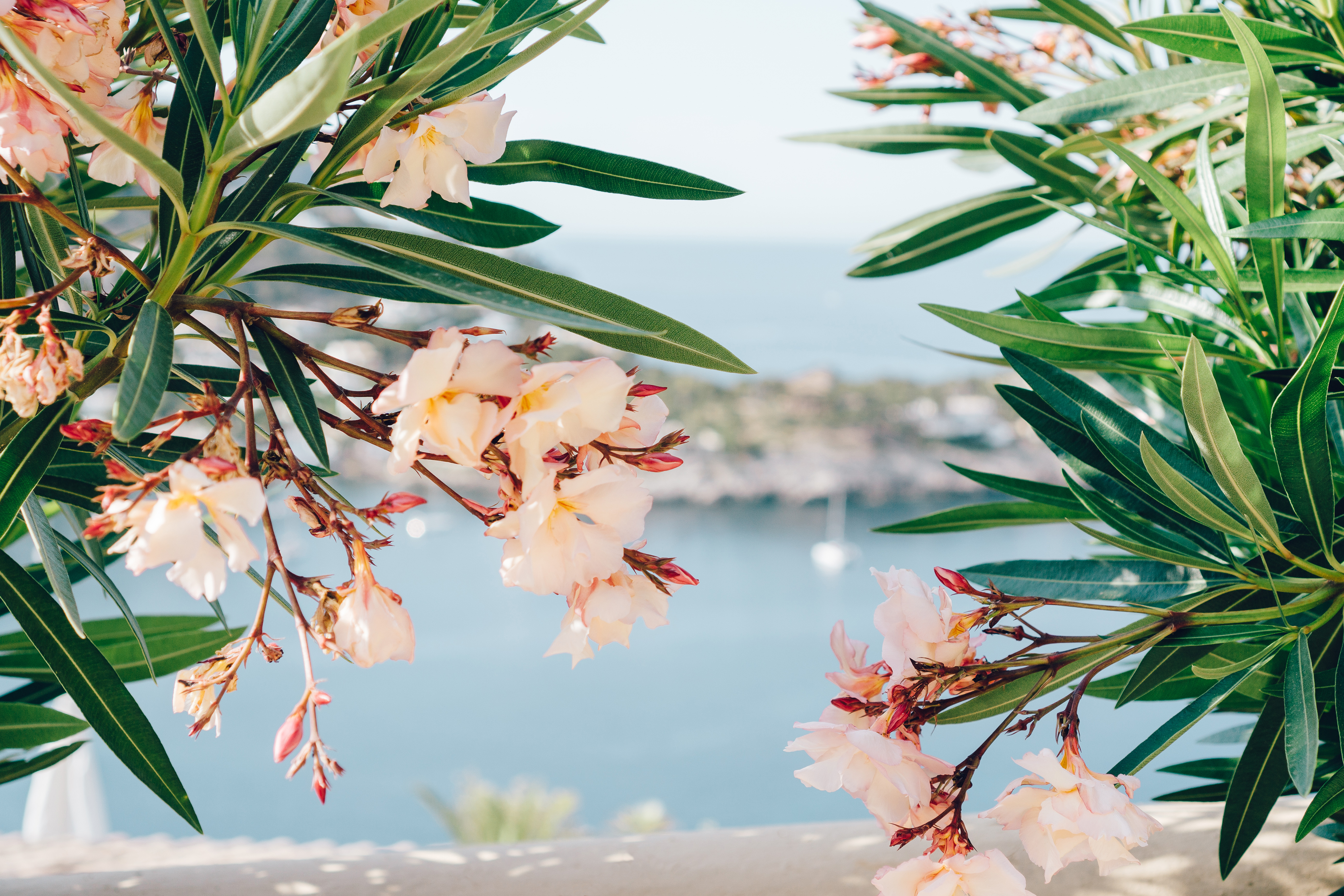 The property market is flourishing: The spring season in Ibiza