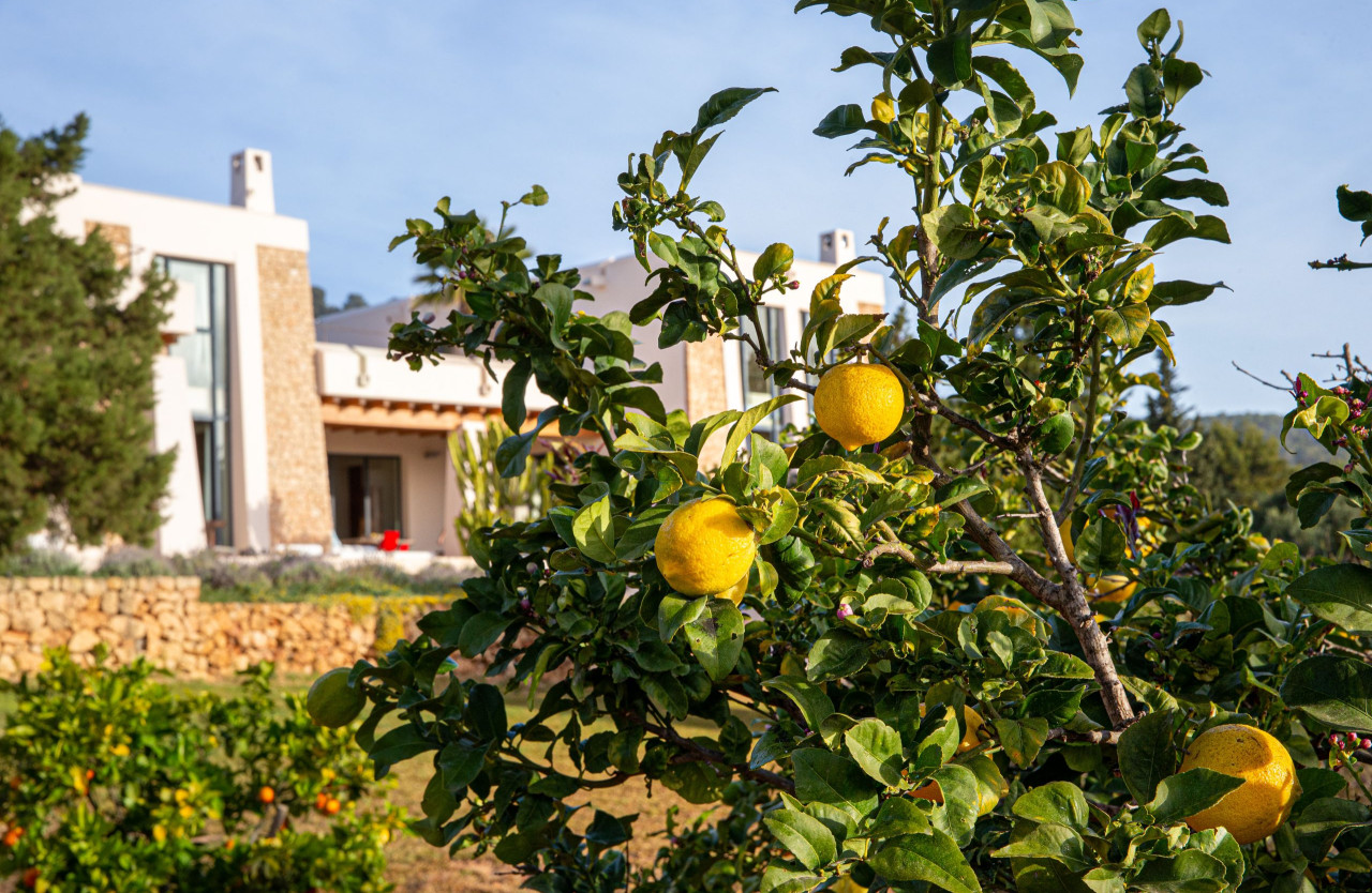 Einzigartige Villa in unmittelbarer Nähe von Es Cubells - 53