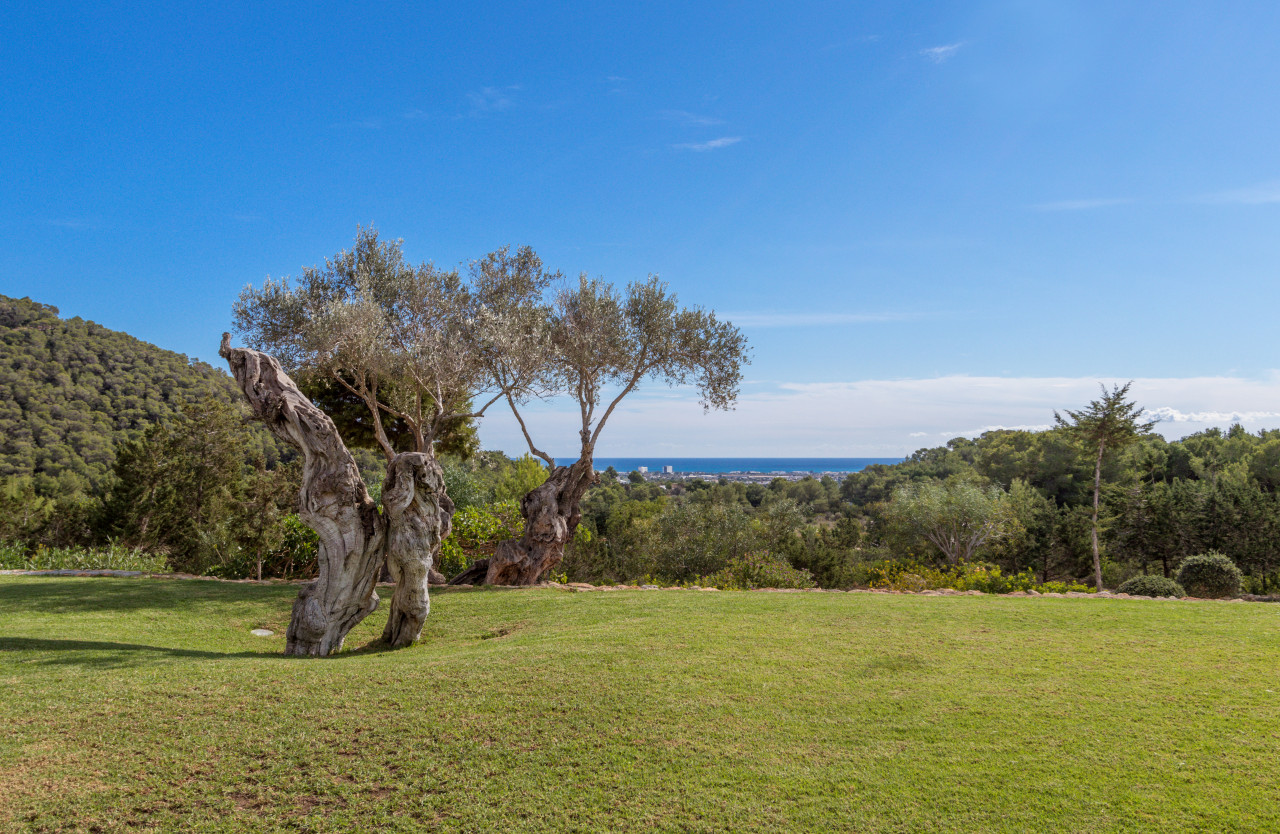 Lujo y amplitud cerca de la ciudad de Ibiza - 5