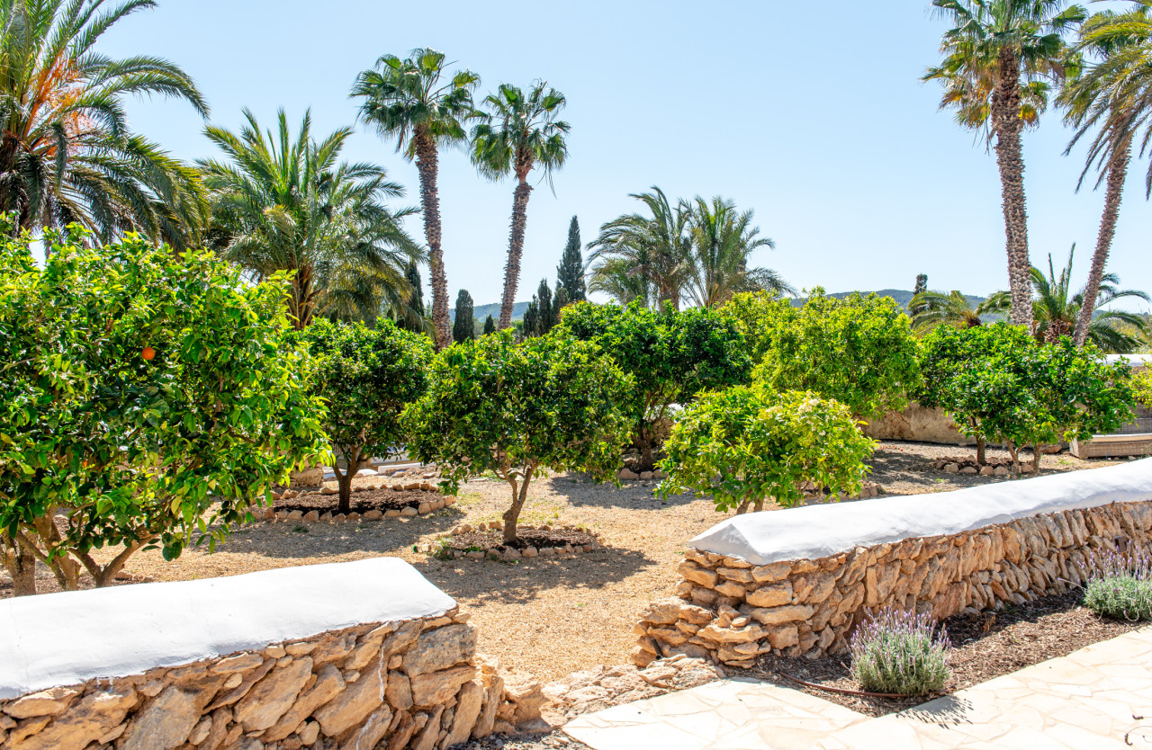 Enchanting finca nestled in the countryside between Santa Gertrudis and Ibiza - 66