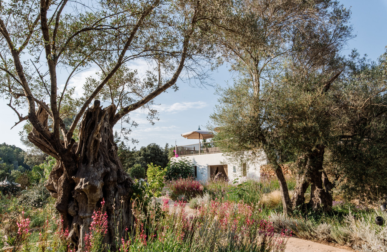 Exklusive Villa im Herzen der Insel, in der Nähe von San Lorenzo - 27