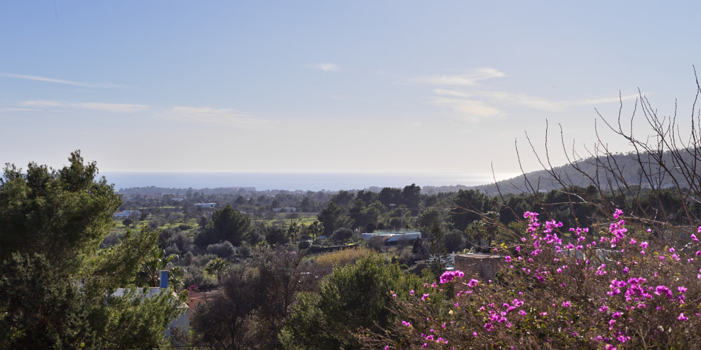 Countryhouse with rental licence overlooking the Salinas - 2