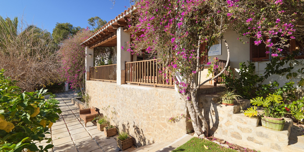 Countryhouse with rental licence overlooking the Salinas - 4