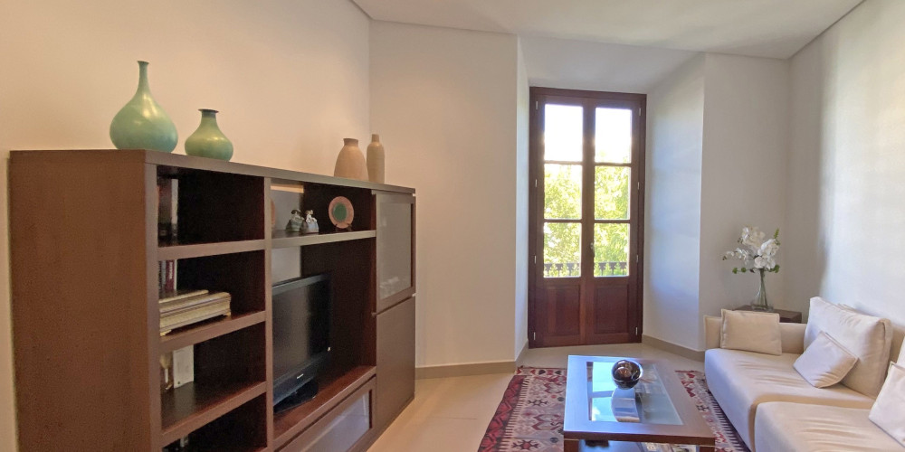 Spacious renovated apartment in central location - 5