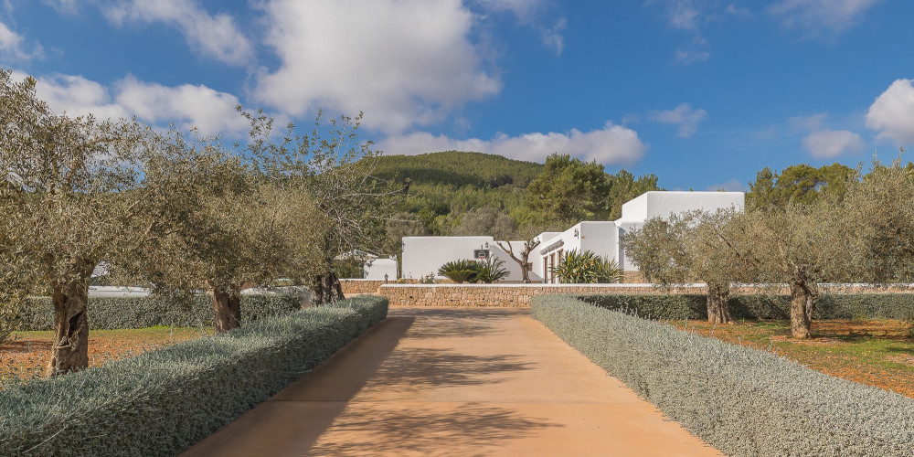 Finca with distant sea views in a quiet location - 5