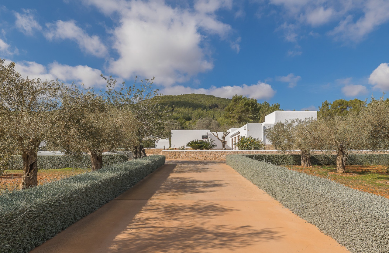 Finca with distant sea views in a quiet location - 7