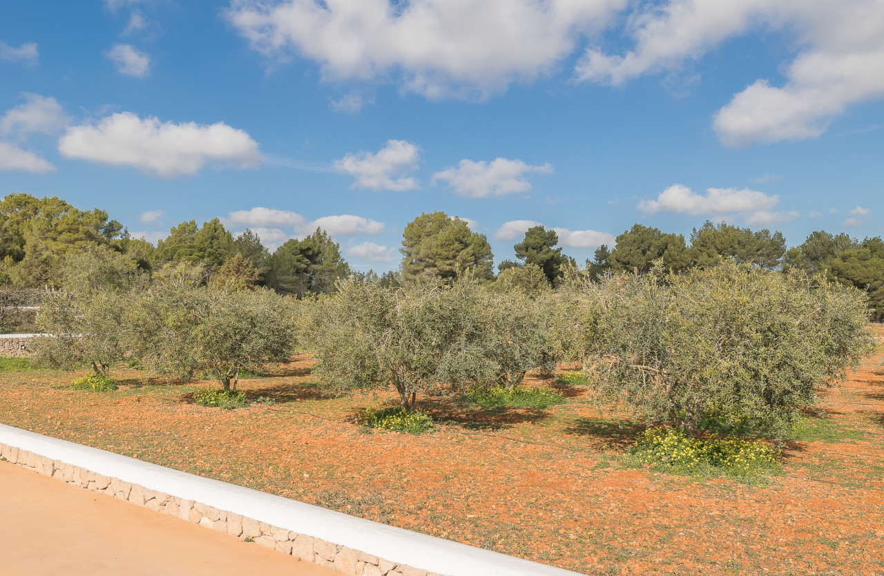 Finca with distant sea views in a quiet location - 24