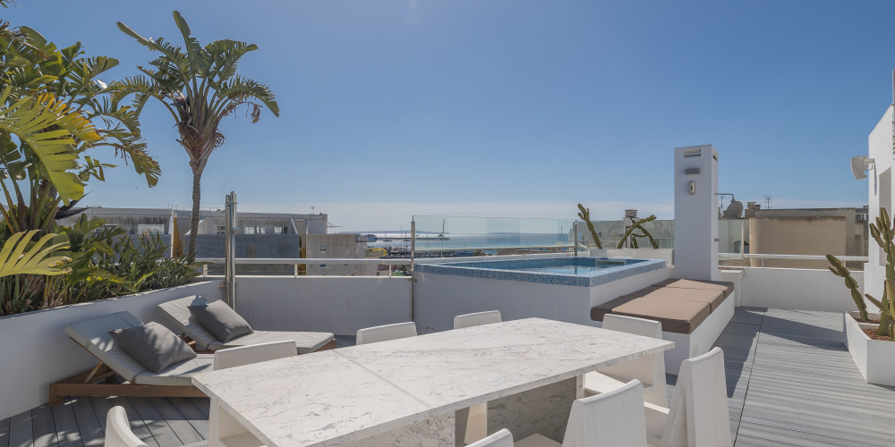 Ático con enorme terraza y piscina privada en Patio Blanco - 1