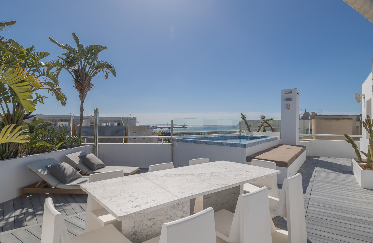 Penthouse with huge terrace and private pool in Patio Blanco - 6