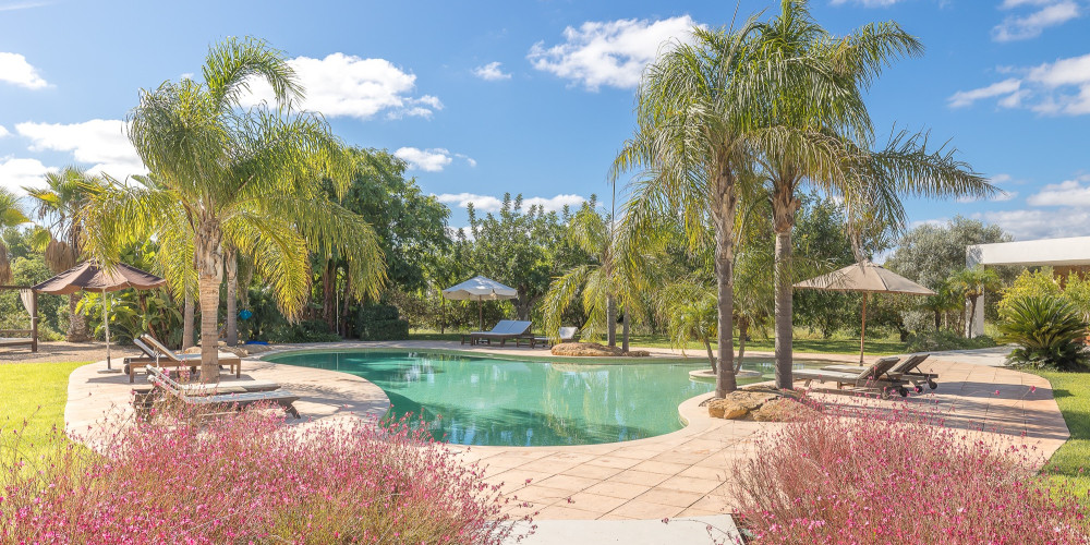 Ibizenkische Villa mit Touristenlizenz und Gartencenter - 3