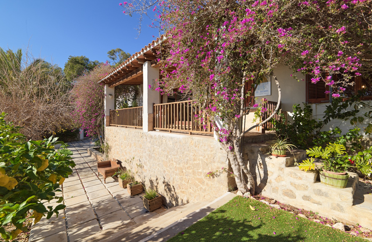 Countryhouse with rental licence overlooking the Salinas - 7