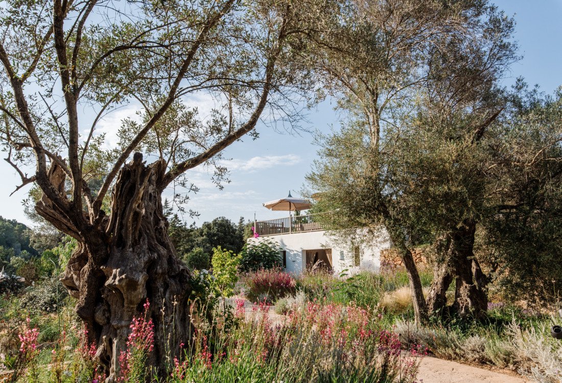 Villa exclusiva en el corazón de la isla, cerca de San Lorenzo  - 11