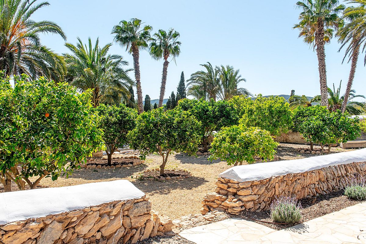 Ein bezauberndes, authentisches Landhaus, das zwischen Santa Gertrudis und Ibiza auf dem Land liegt - 71
