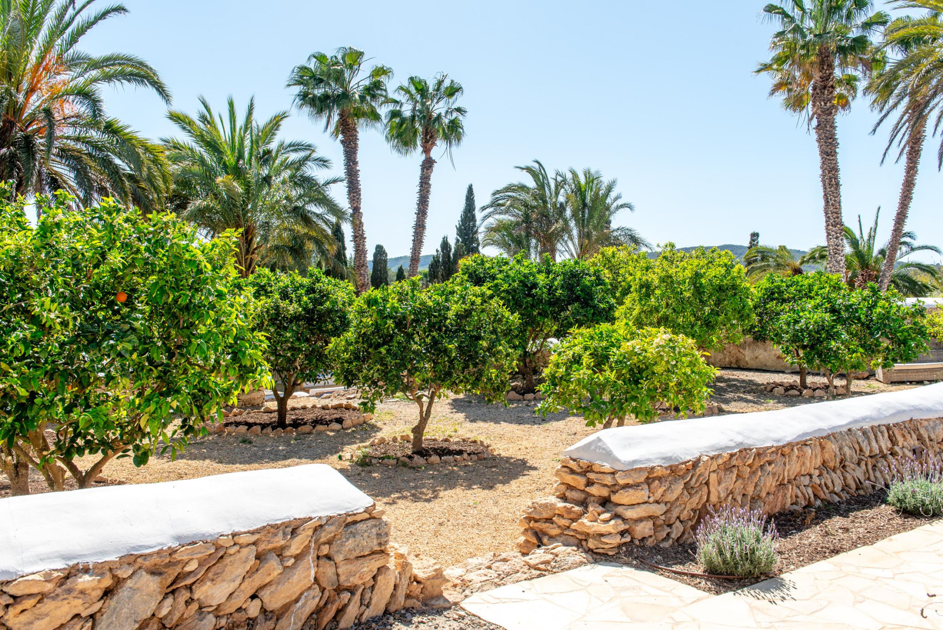 Ein bezauberndes, authentisches Landhaus, das zwischen Santa Gertrudis und Ibiza auf dem Land liegt - 71