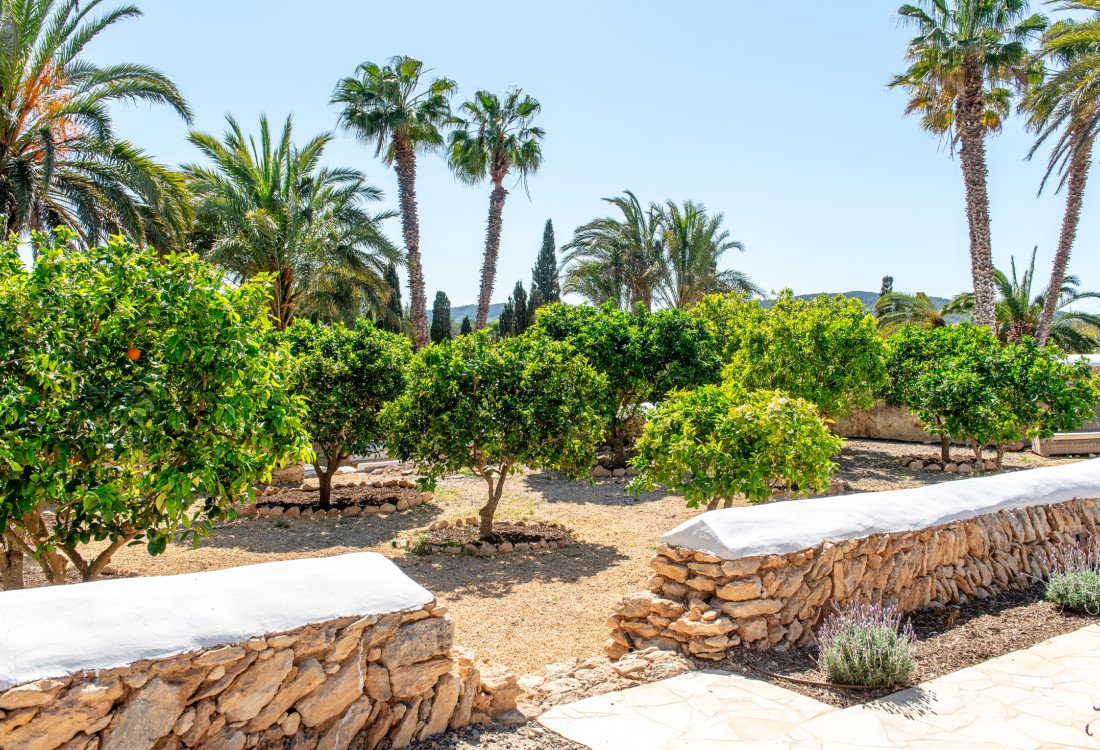 Enchanting finca nestled in the countryside between Santa Gertrudis and Ibiza - 71
