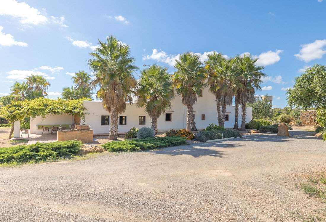 Traditionelle Finca auf dem Lande in sehr guten Lage, nicht weit von Santa Eulalia entfernt  - 9