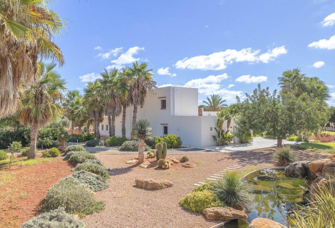 Traditionelle Finca auf dem Lande in sehr guten Lage, nicht weit von Santa Eulalia entfernt  - 7
