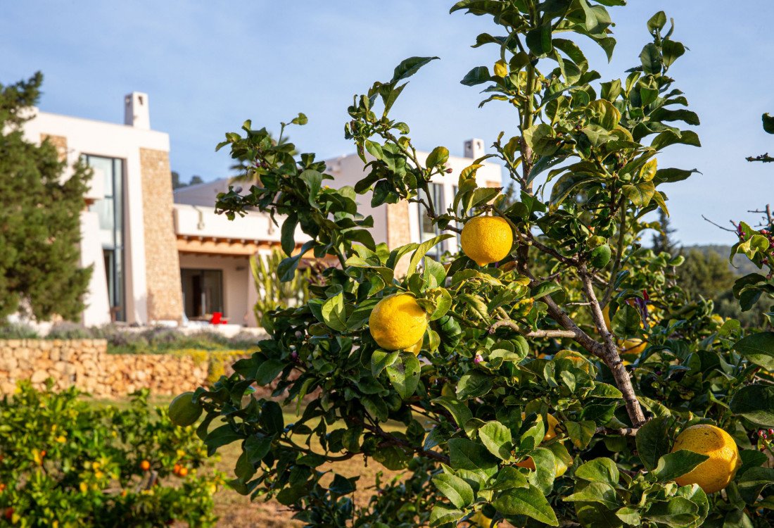 Unique villa within walking distance of Es Cubells - 53