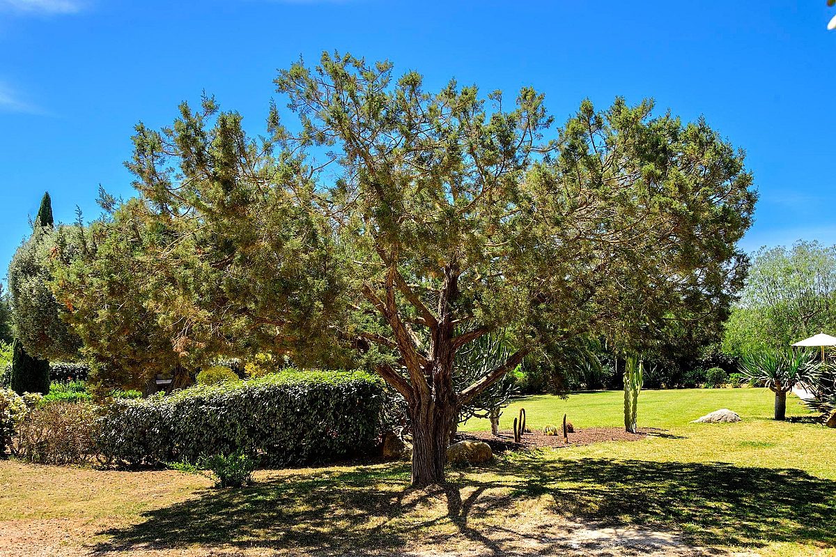 Preciosa villa familiar en una zona muy solicitada, con amplios espacios exteriores y vistas al mar  - 84