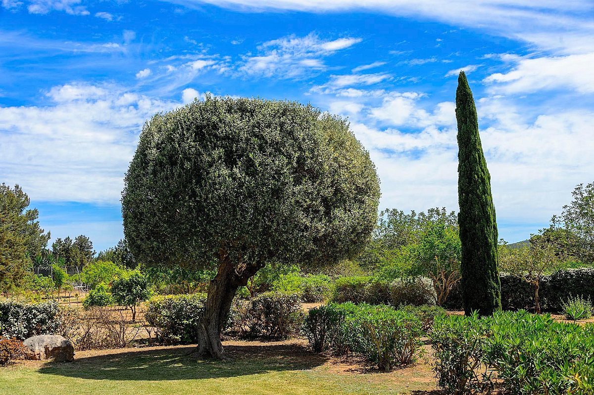 Preciosa villa familiar en una zona muy solicitada, con amplios espacios exteriores y vistas al mar  - 83