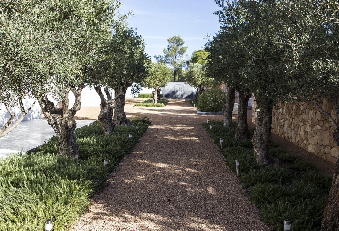 Luxury modern villa in Cala Conta with magnificent sea views - 8