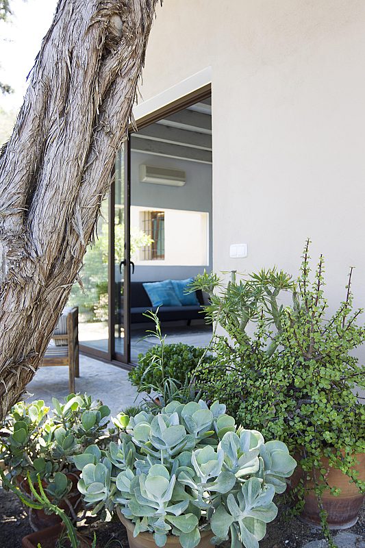 Elegant Ibiza finca in San Jose - 20