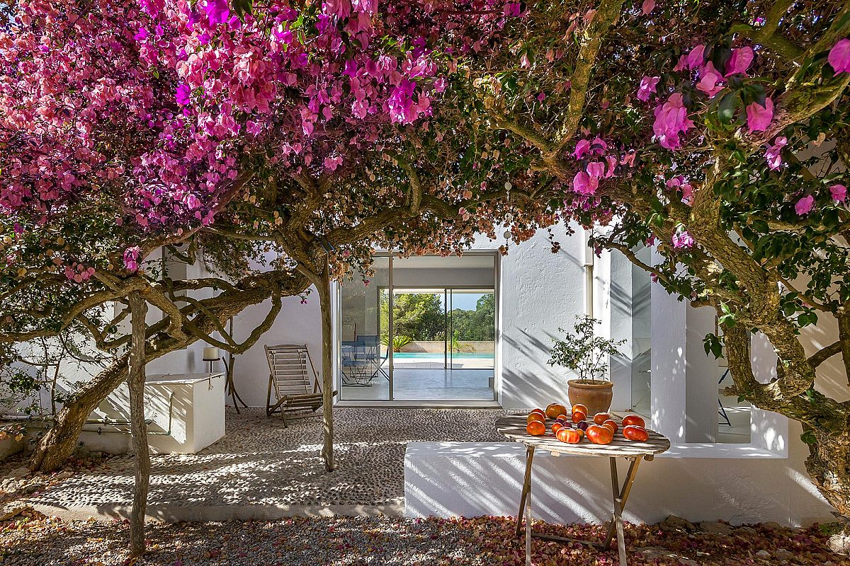 Encantadora villa moderna en Talamanca - 4