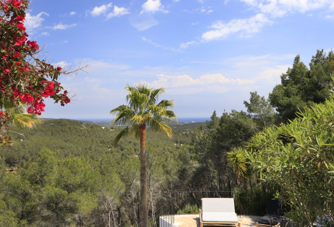 Genuine Ibizan property in Santa Gertrudis - 22