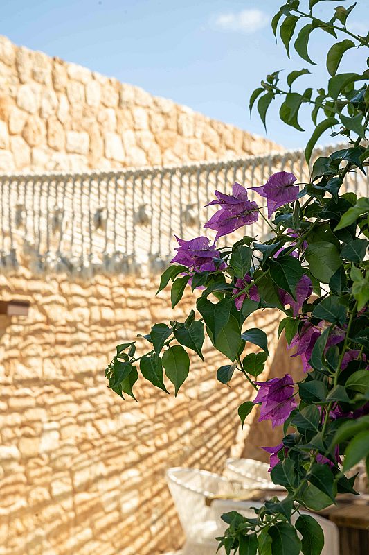 Impressive style and exclusivity in Cala Conta - 57