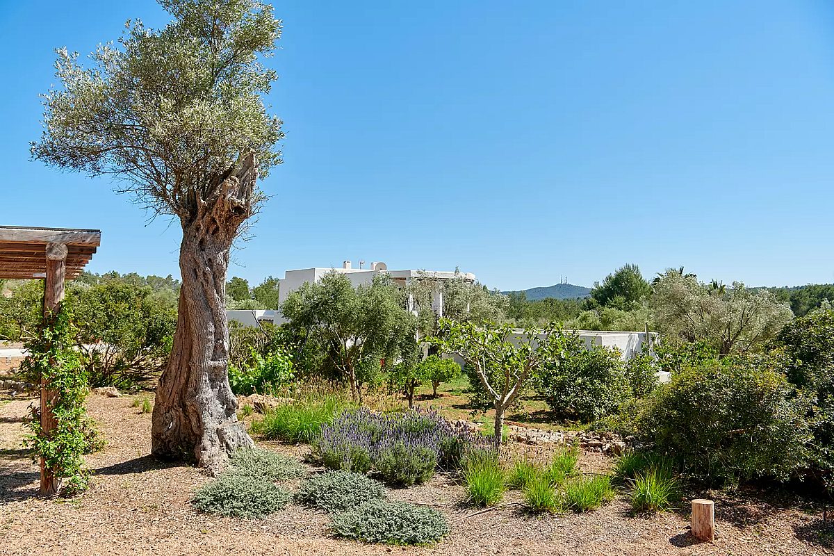 Impresionante finca Blakstad en el corazón del campo ibicenco - 49