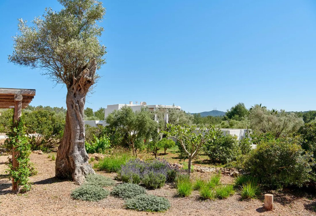 Impresionante finca Blakstad en el corazón del campo ibicenco - 49