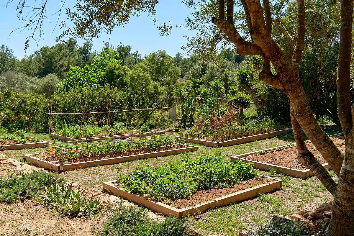 Impresionante finca Blakstad en el corazón del campo ibicenco - 62