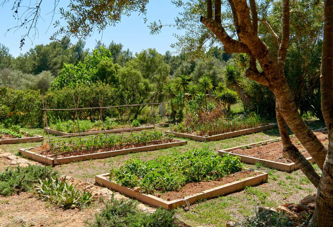 Impresionante finca Blakstad en el corazón del campo ibicenco - 62