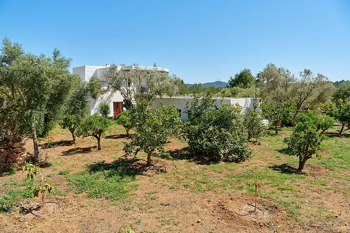 Impresionante finca Blakstad en el corazón del campo ibicenco - 56