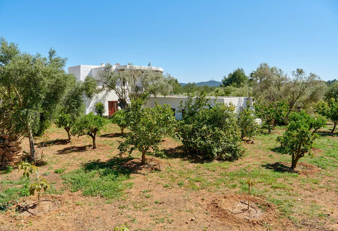 Impresionante finca Blakstad en el corazón del campo ibicenco - 56