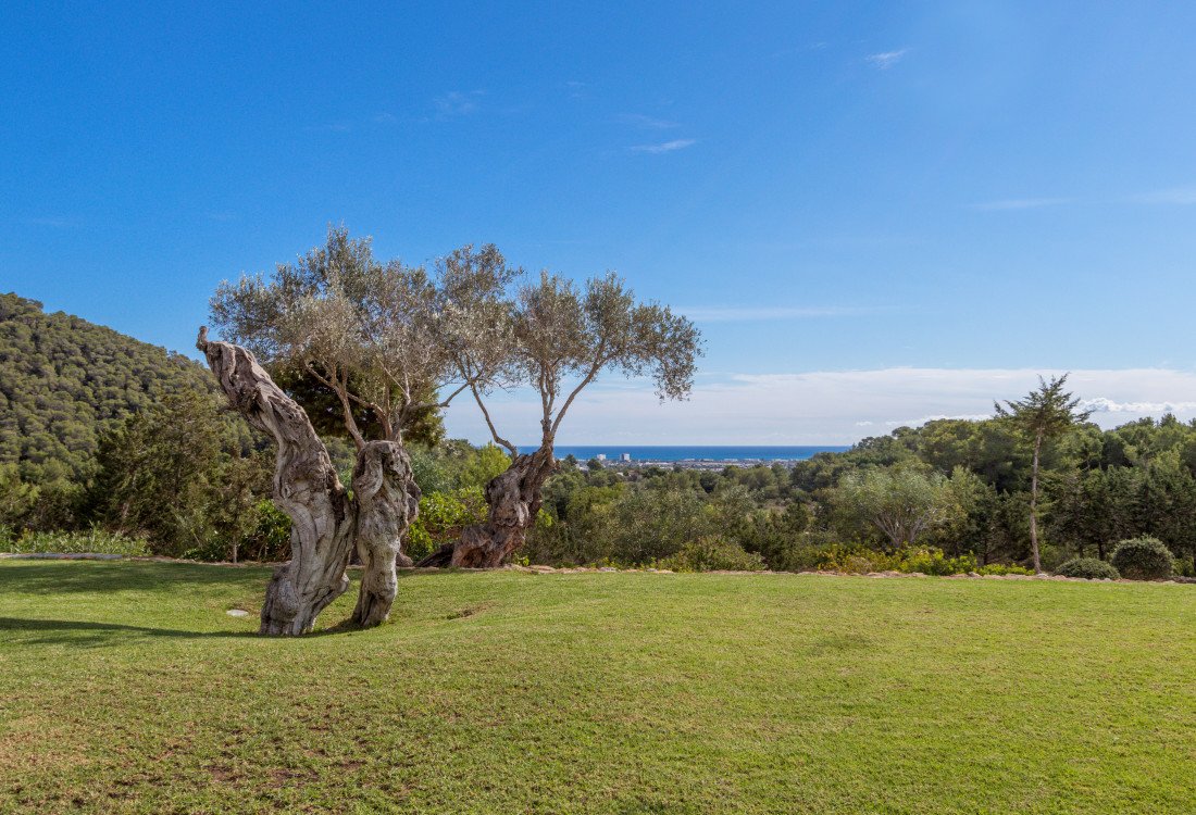 Lujo y amplitud cerca de la ciudad de Ibiza - 5
