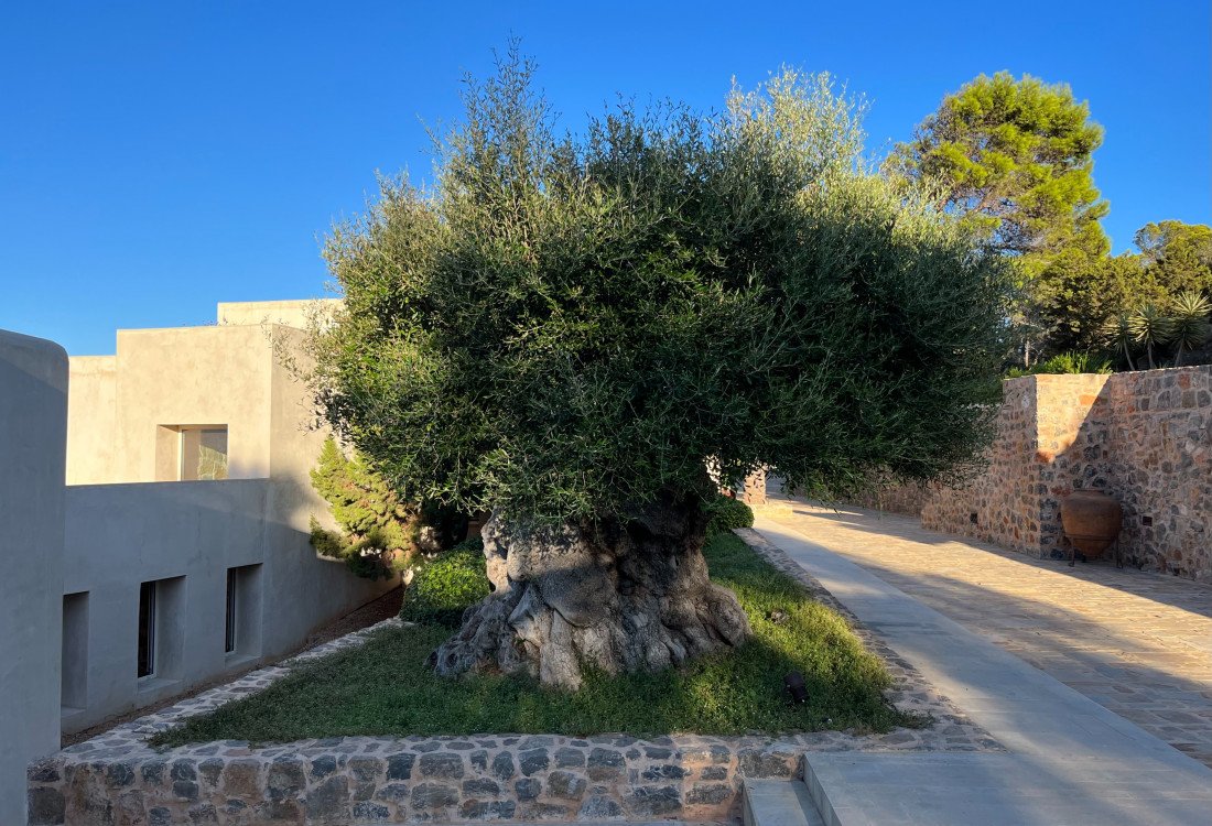 A luxury private villa with a full view of Cala San Vincent bay, unique in location, unrivalled - 12