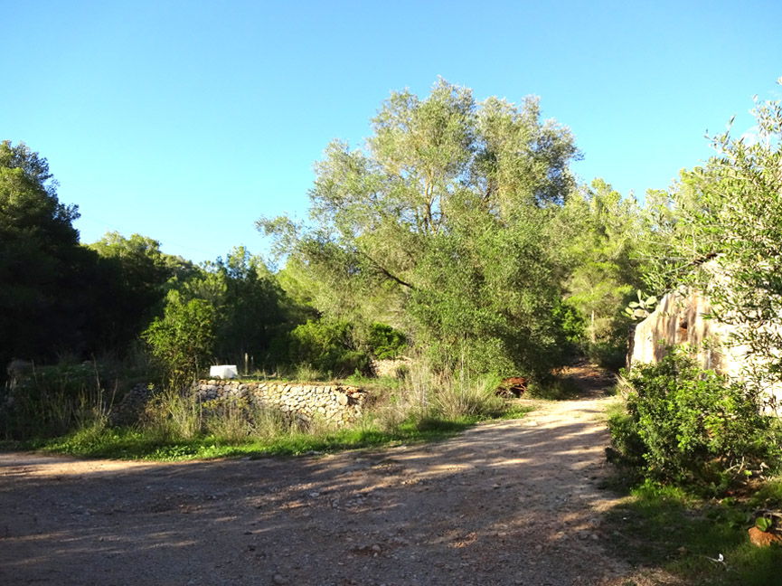 Huge rustic plot with old houses - 3