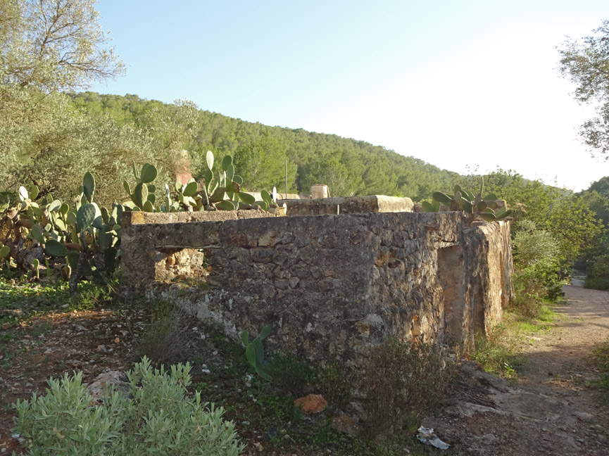 Huge rustic plot with old houses - 2