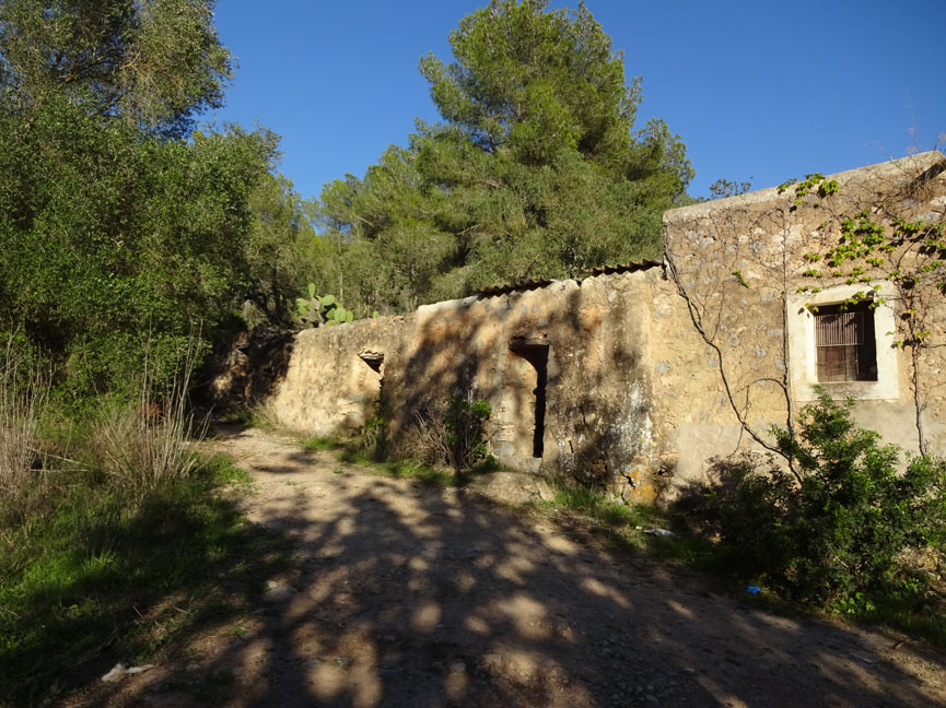 Huge rustic plot with old houses - 1