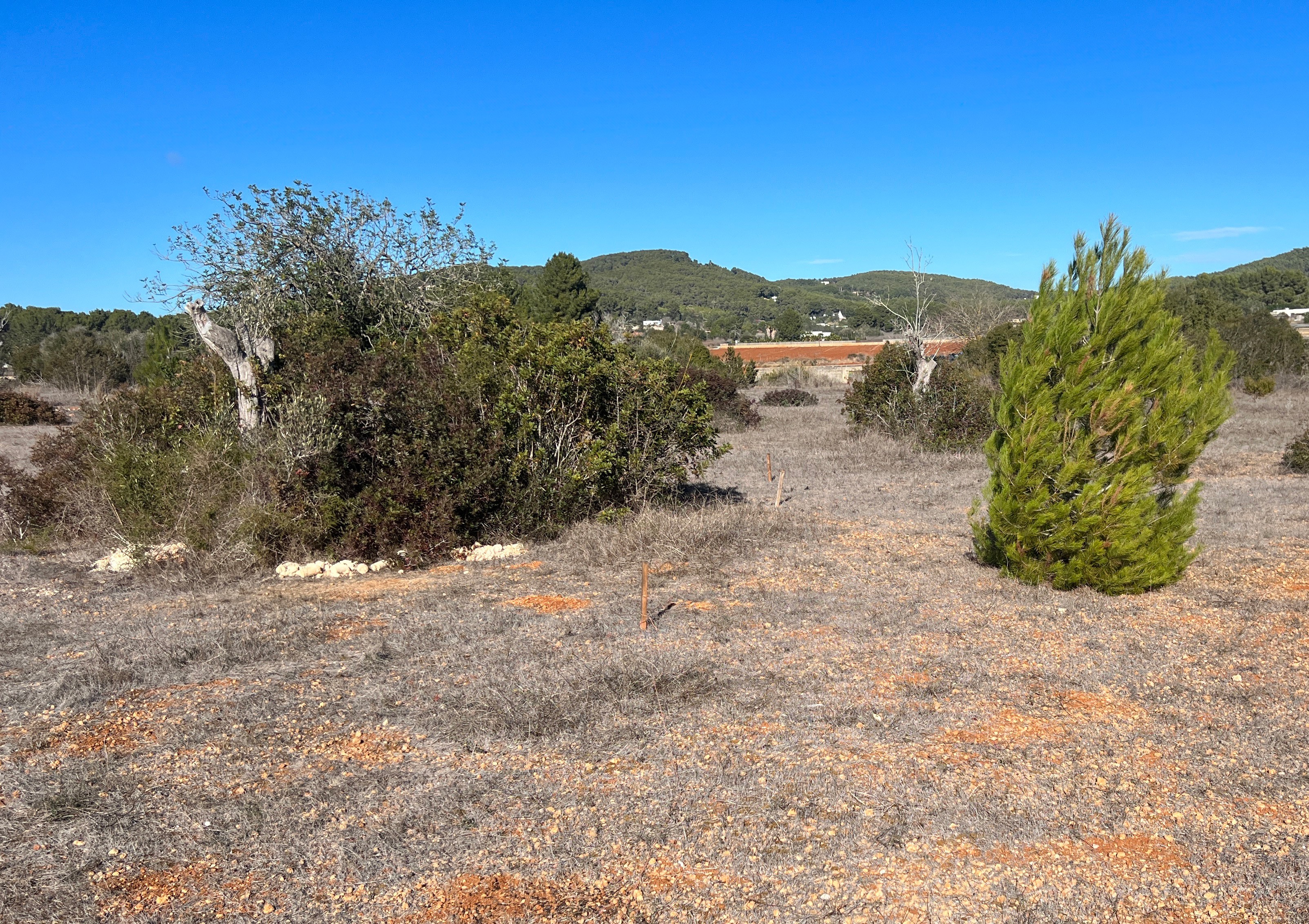 Modern country house under construction in proximity to Santa Gertrudis - 12