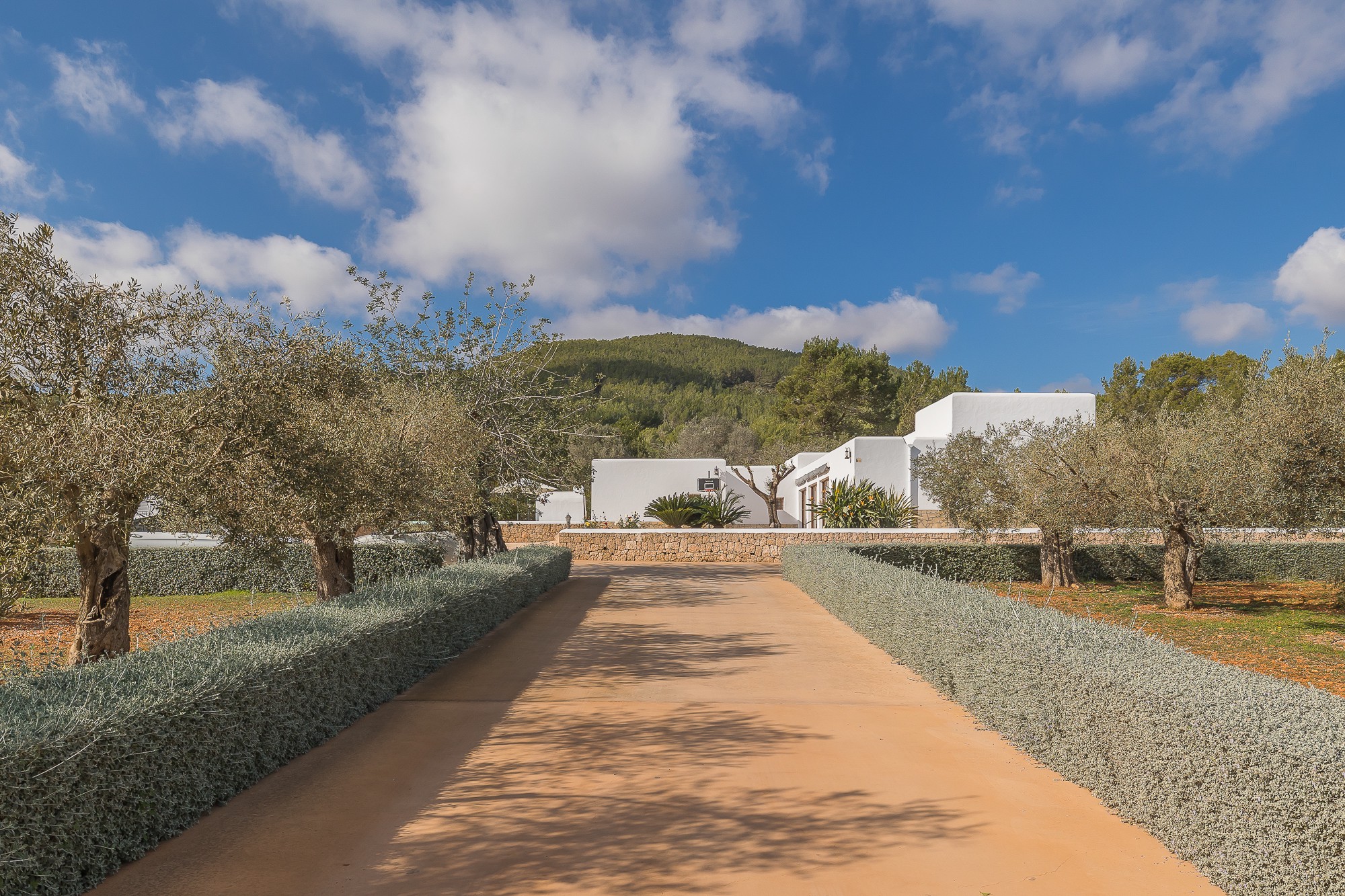 Finca mit Fernblick aufs Meer in ruhiger Lage - 3