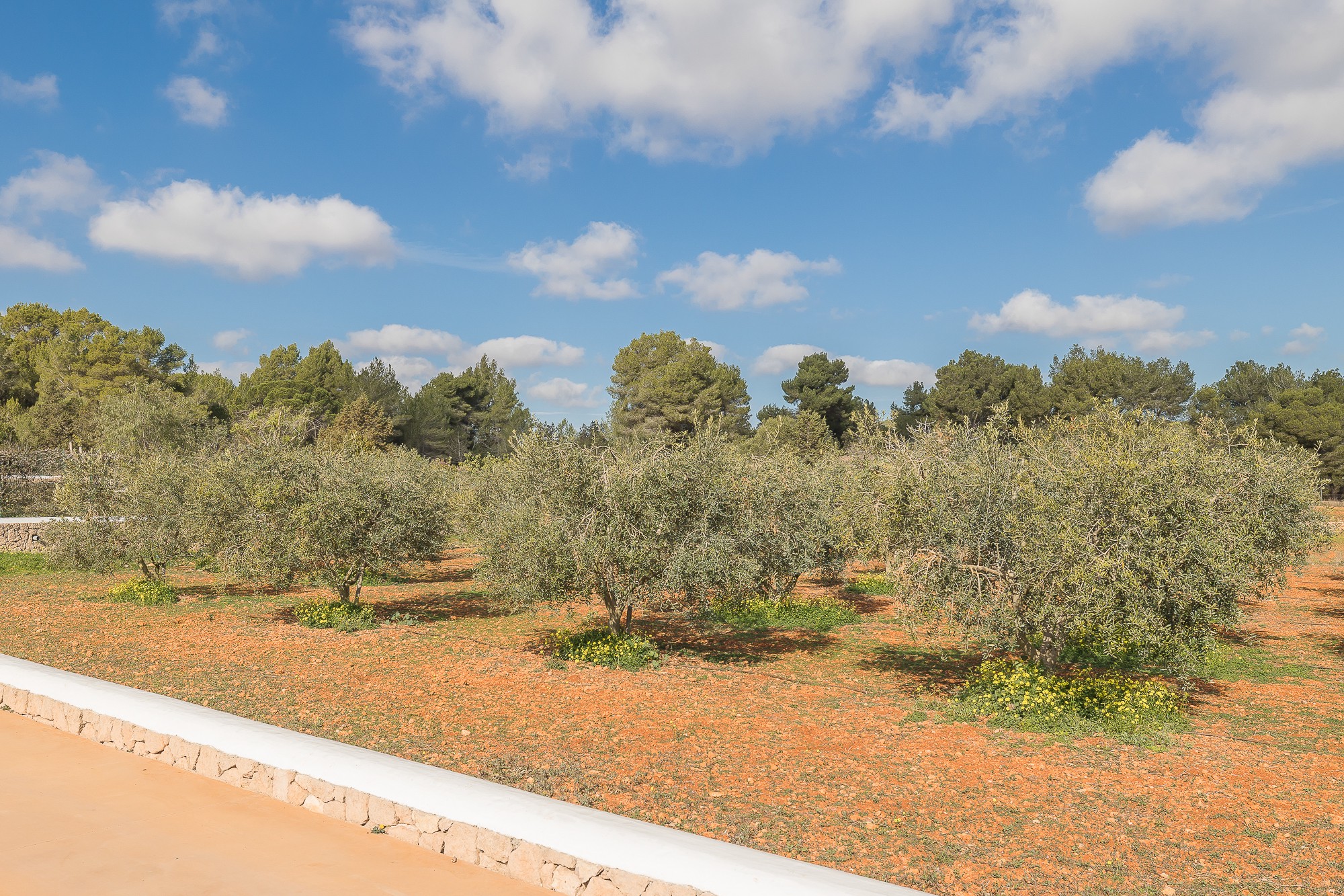 Finca with distant sea views in a quiet location - 24