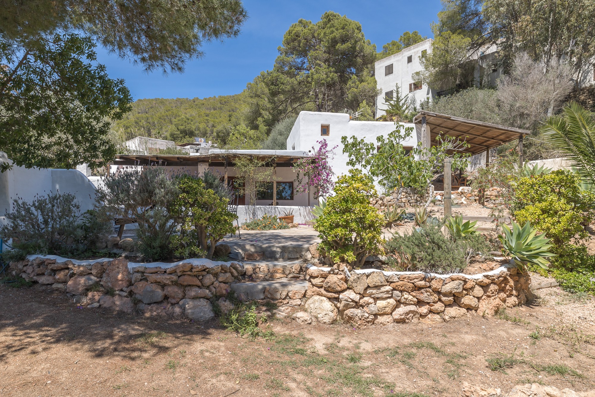 Cozy country house near Ibiza town - 1