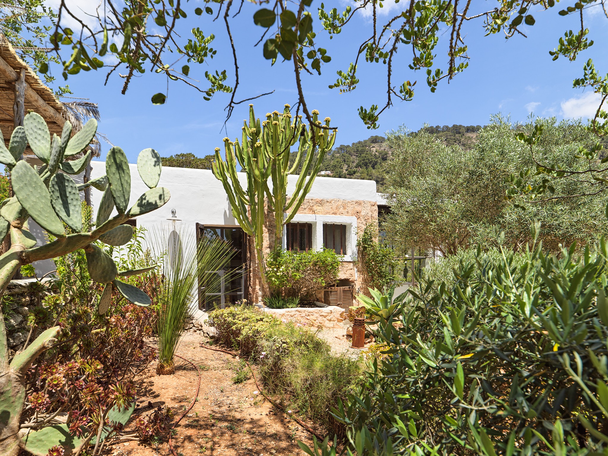 Finca romántica en la naturaleza con vistas panorámicas - 3