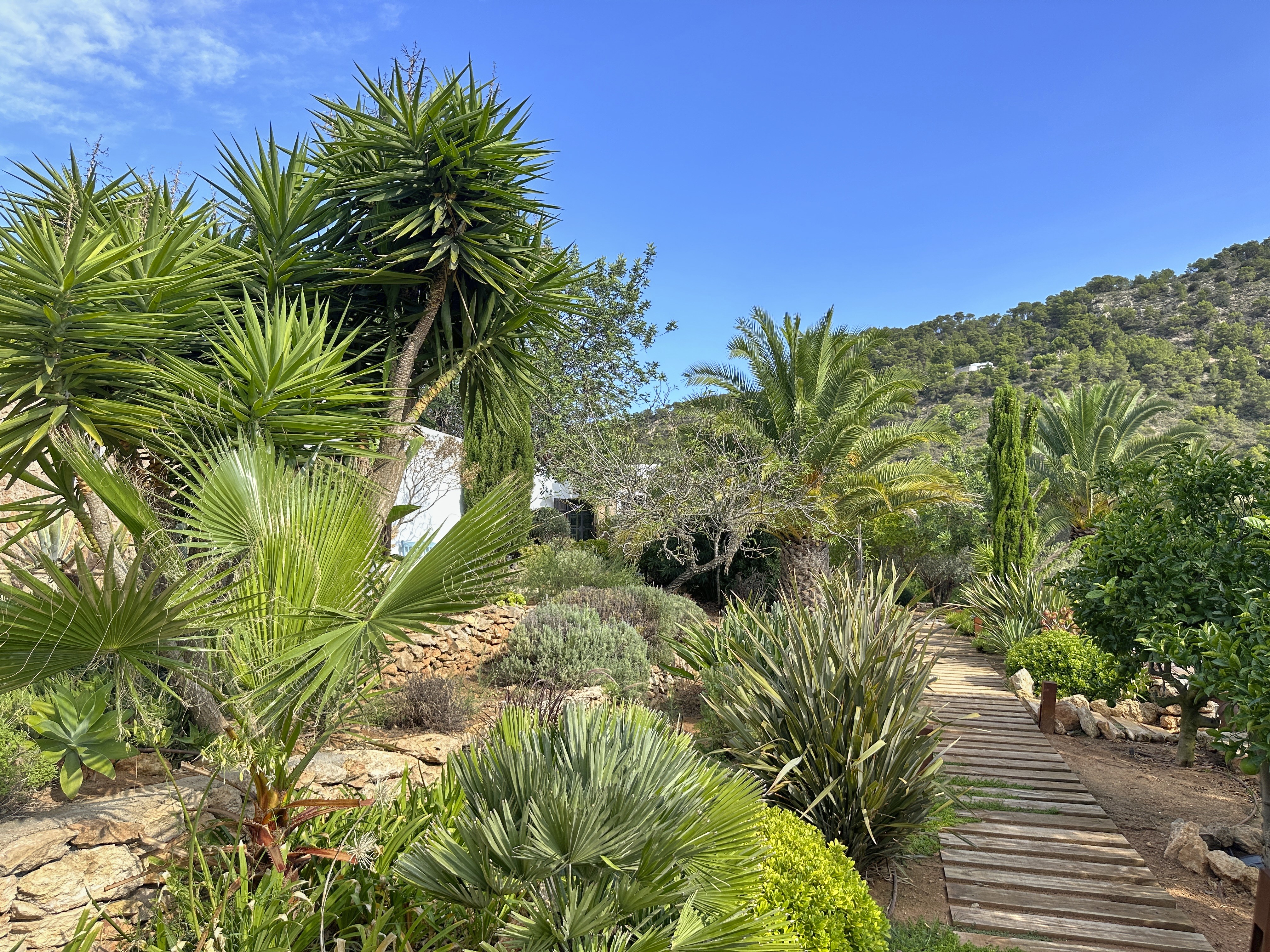 Finca romántica en la naturaleza con vistas panorámicas - 7