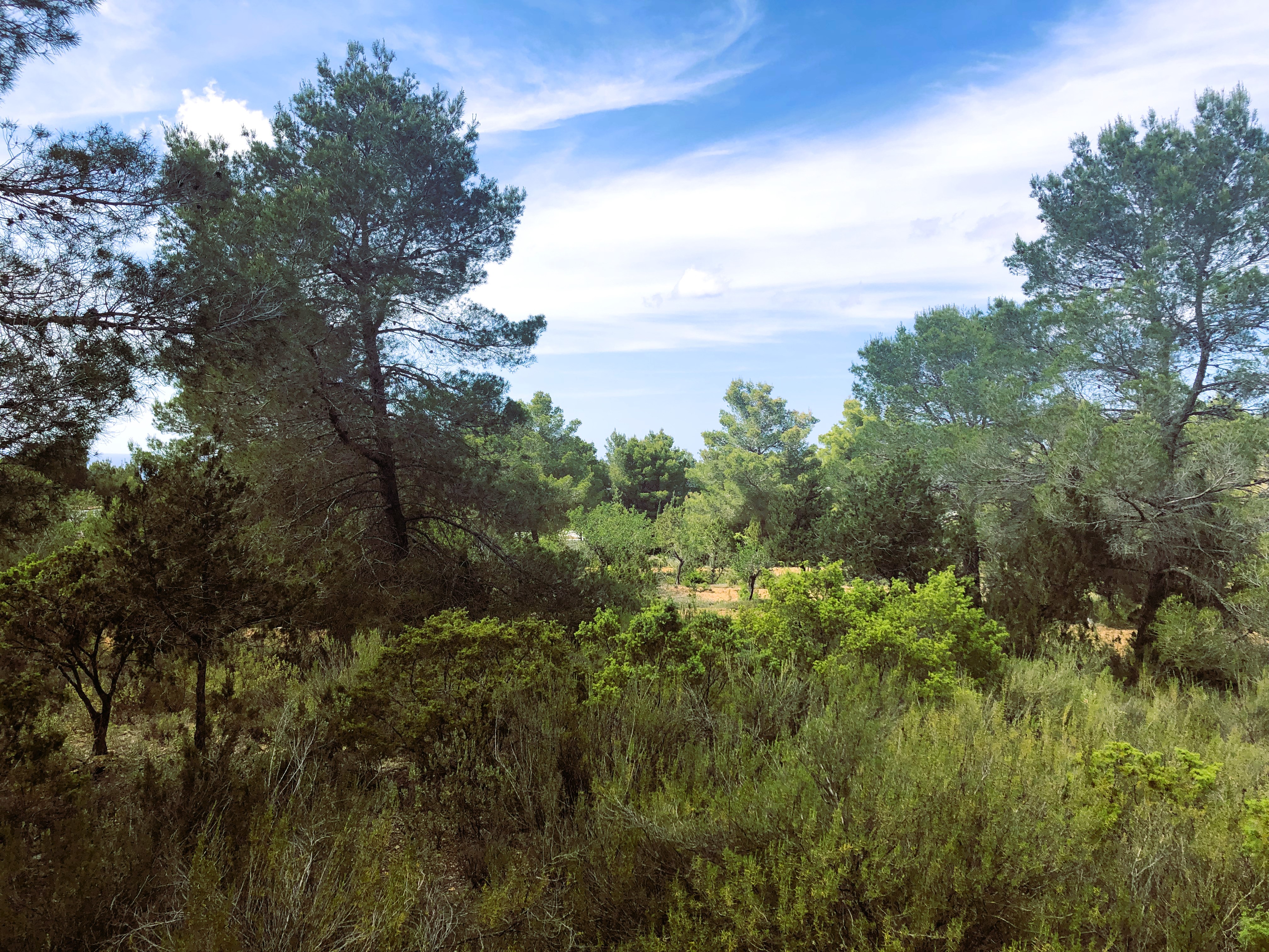 Rustic building plot with sea view - 1