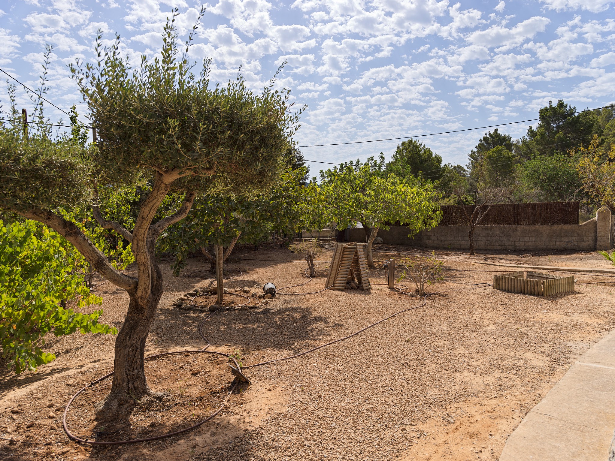 Landhaus mit fabelhaftem mediterranem Garten - 22