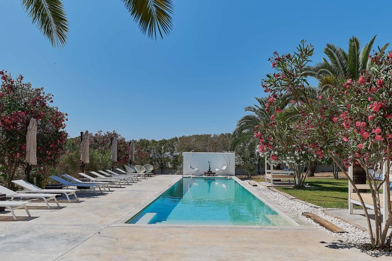 Stylish villa near the city - 2